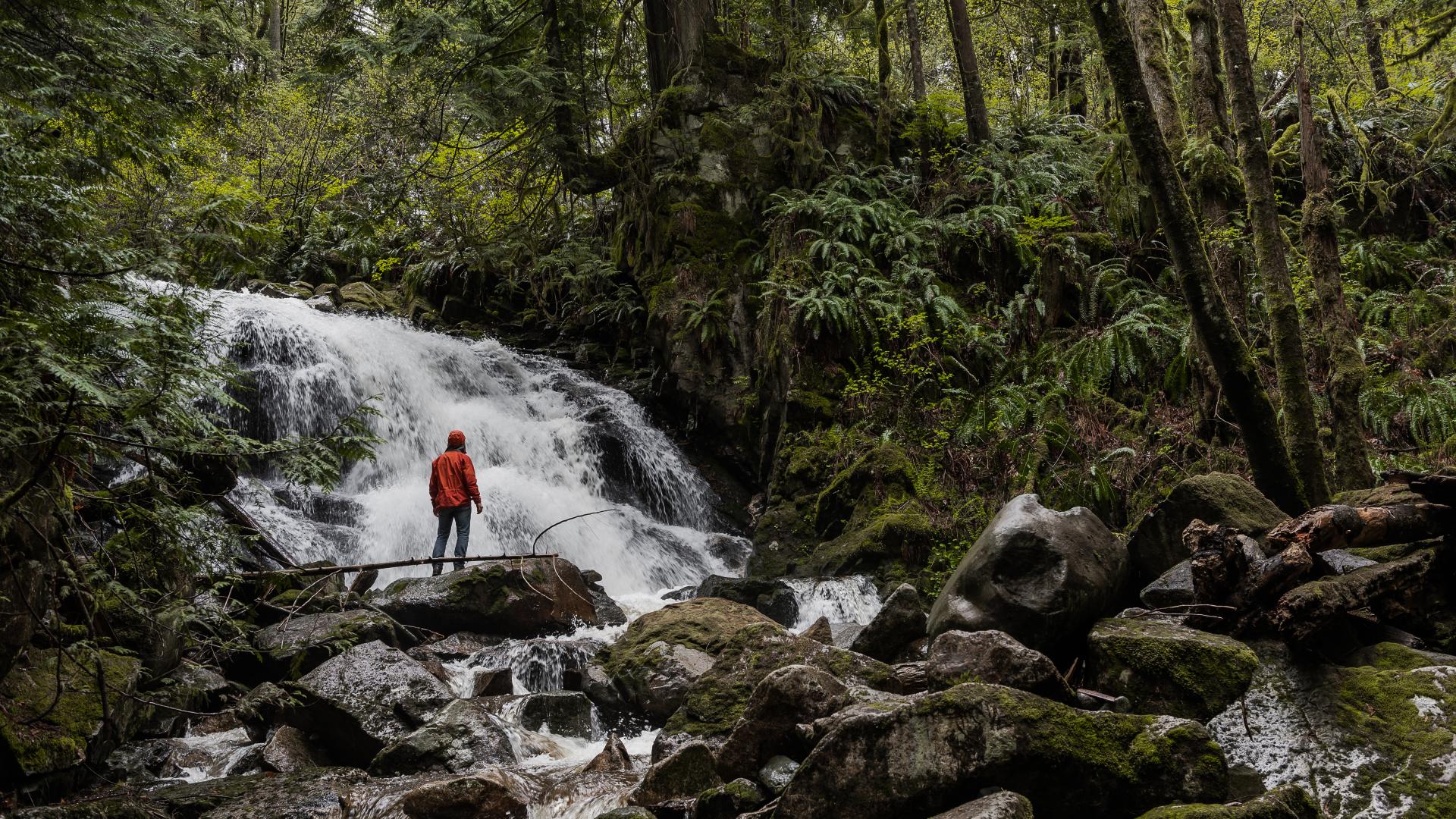 Man in Red Jacket Standing in Front of a Waterfall