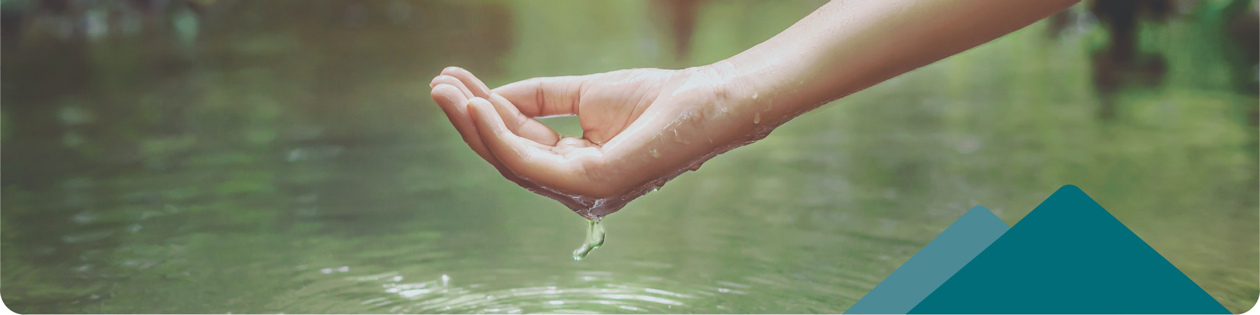 Maple Ridge Management Water Protection & Management | Maple Ridge, BC