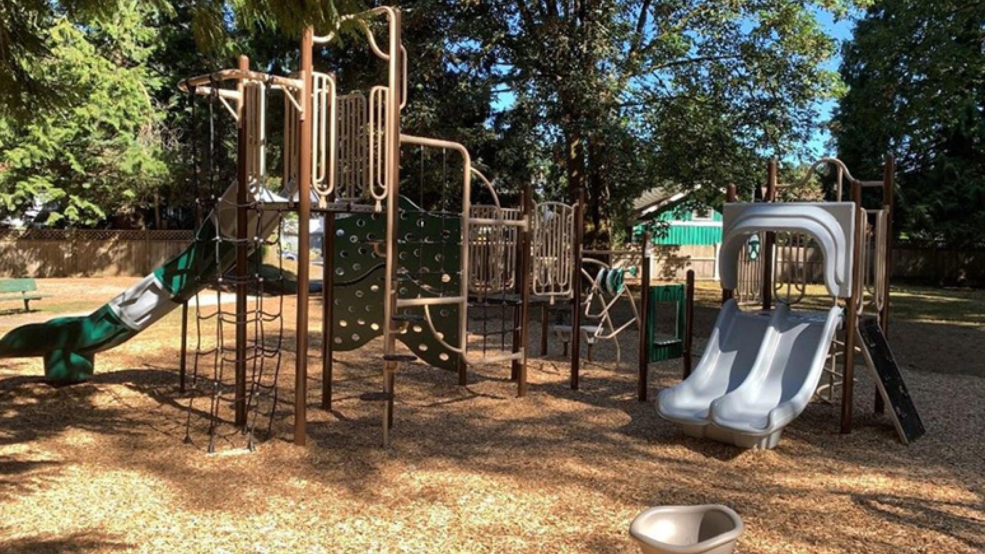 Camwood Park Playground in fall