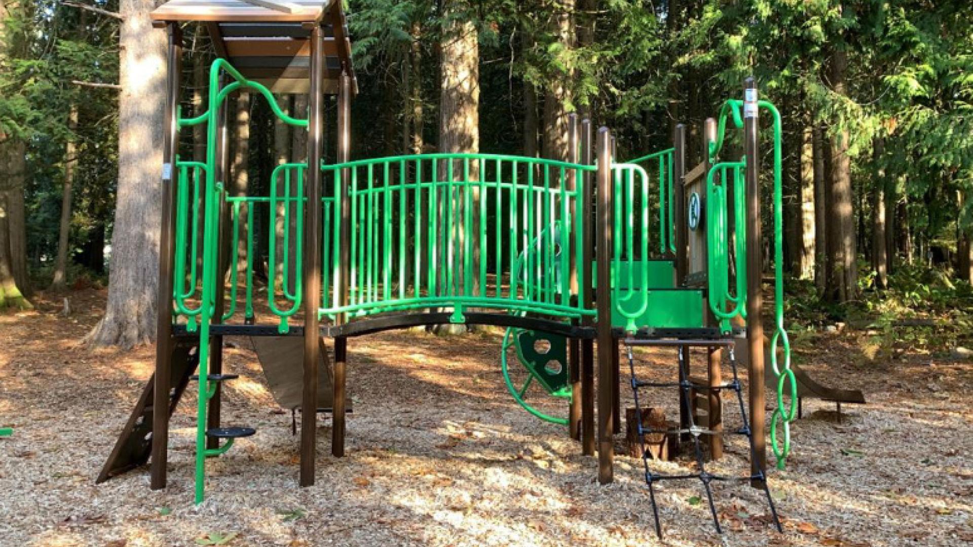 Thornhill Park Playground in fall