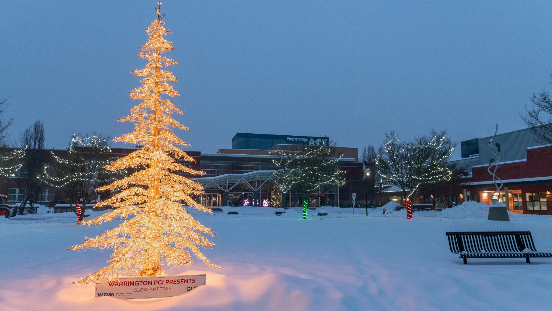 A tree of lights shines onto the winter snow in Memorial Peace Park.