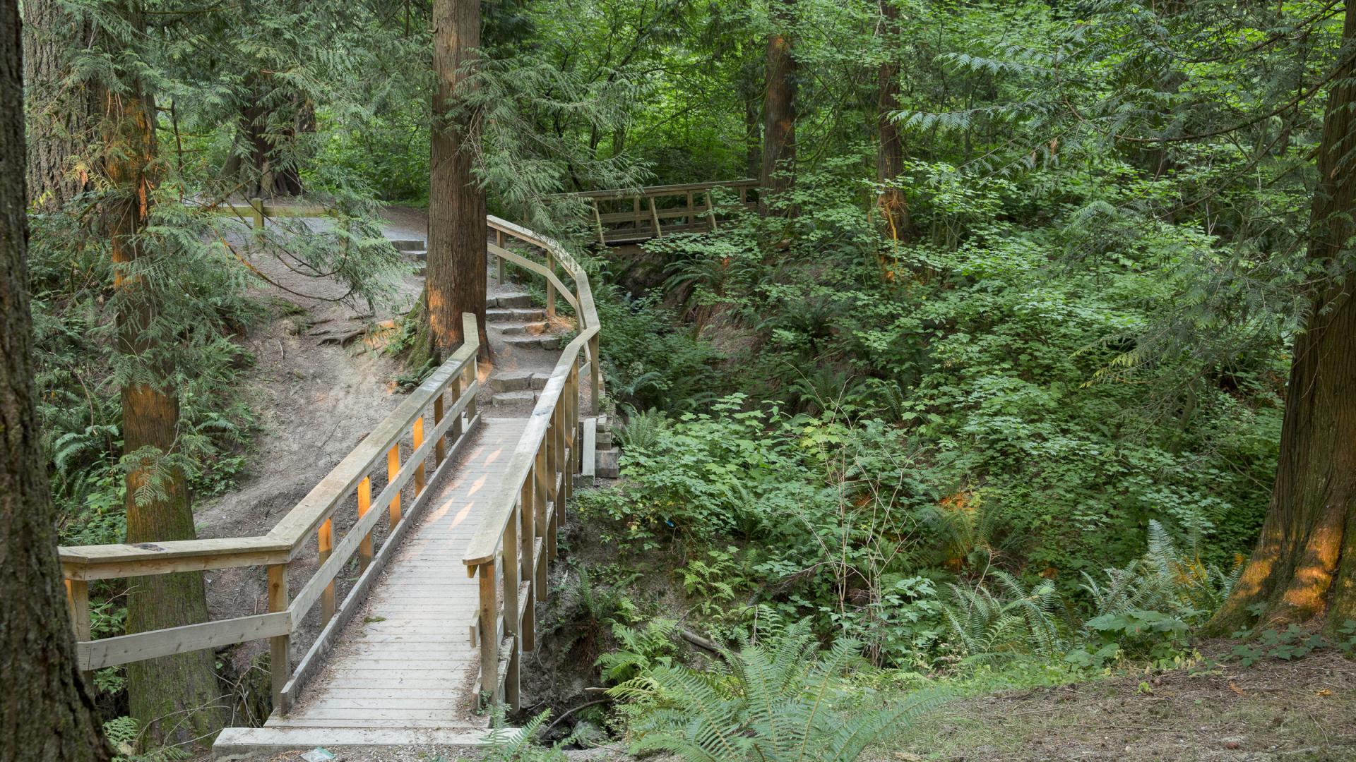 A wooden path bridge on a mulched trail in a green forest.