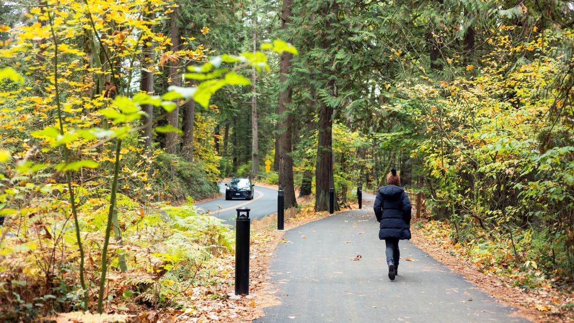 A woman walks along a paved path that is separated from the road with a small patch of land lined with light posts.