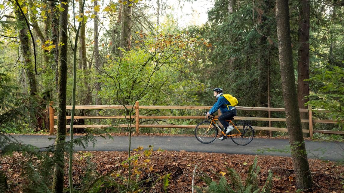 A woman bikes on a paved path through a forest. The far side of the path is lined with a wood fence.