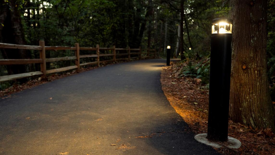 At night, spaced out trail markers line and light the path on one side with a wood fence on the opposite.