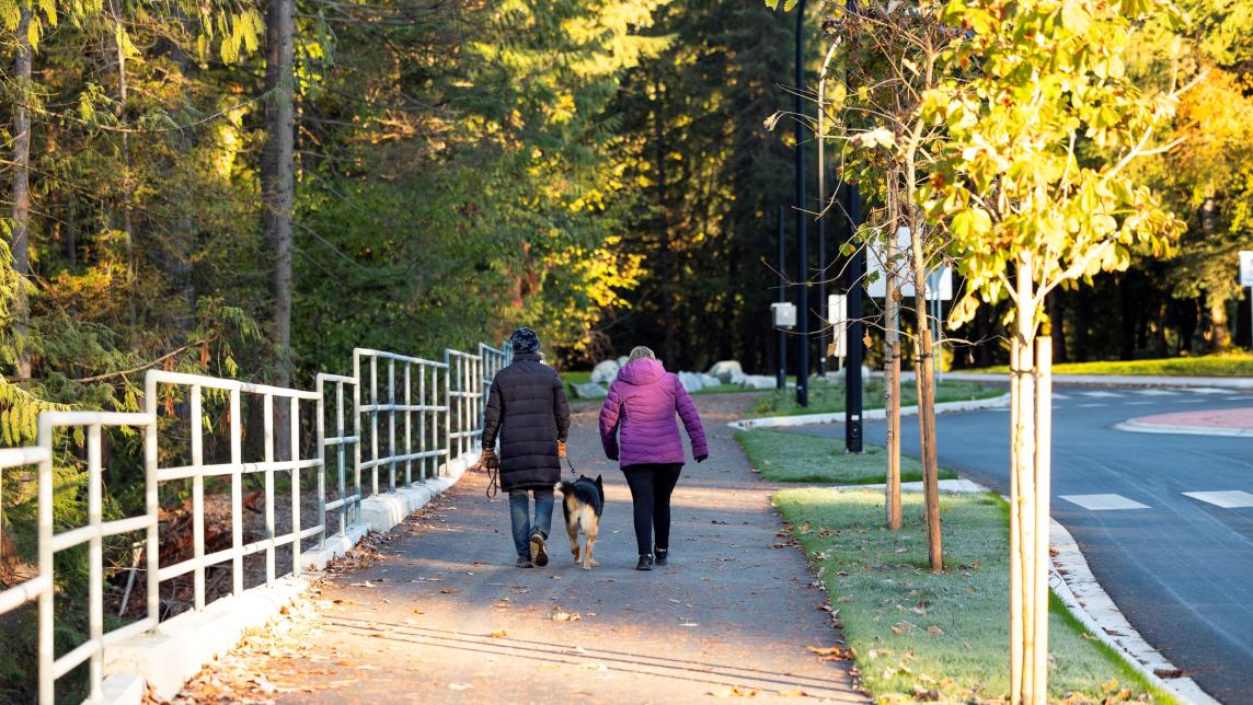 Two people walk a dog along a paved path next to a road leading to a roundabout.