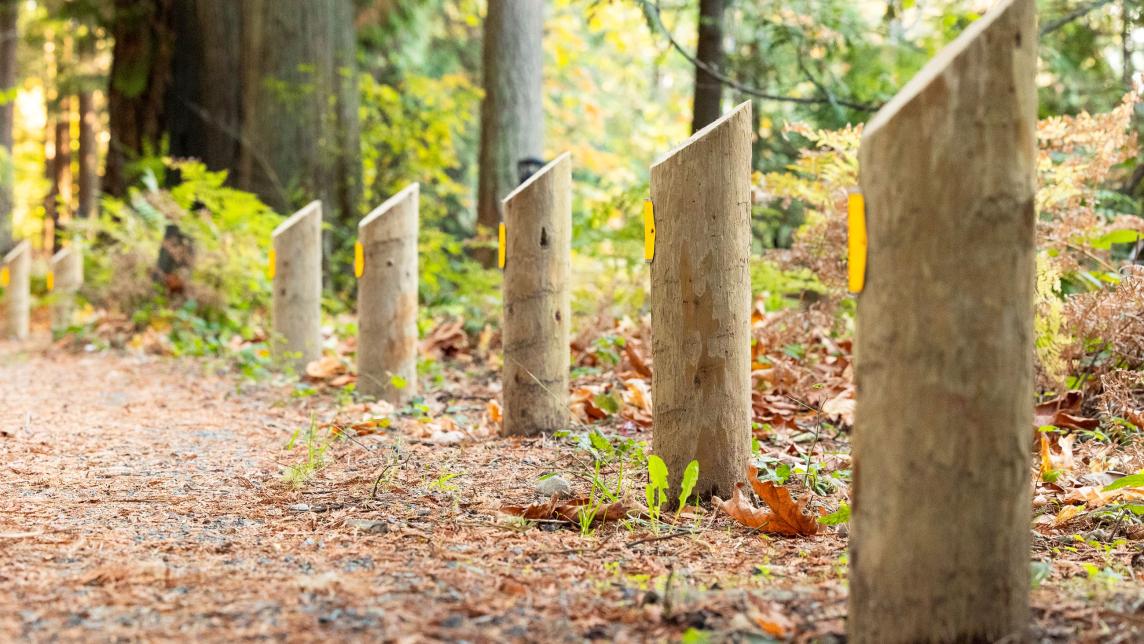 Wood markers approximately a foot tall and cut on a diagonal at the top, with yellow badges on the front.