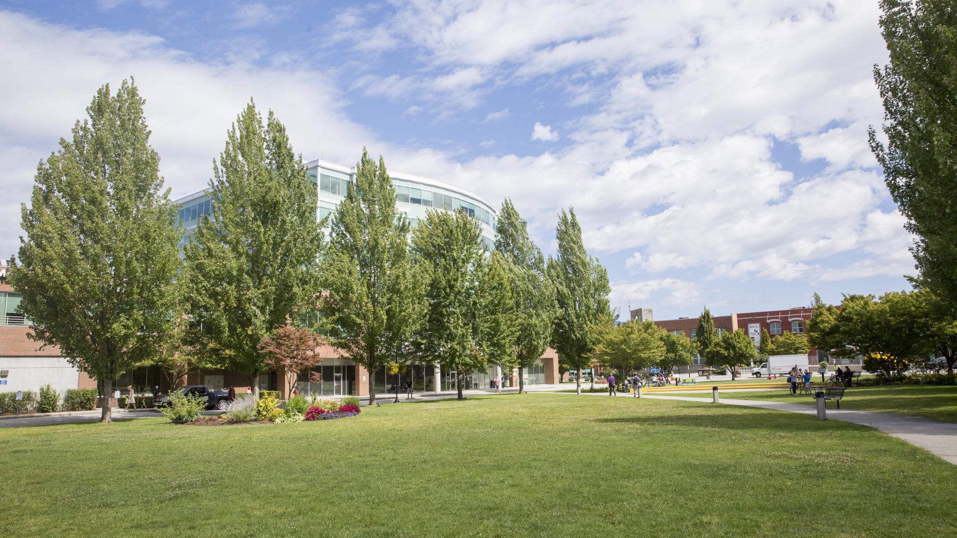 The greenery at Memorial Peace Park soaks up the sun on a partially cloudy day.