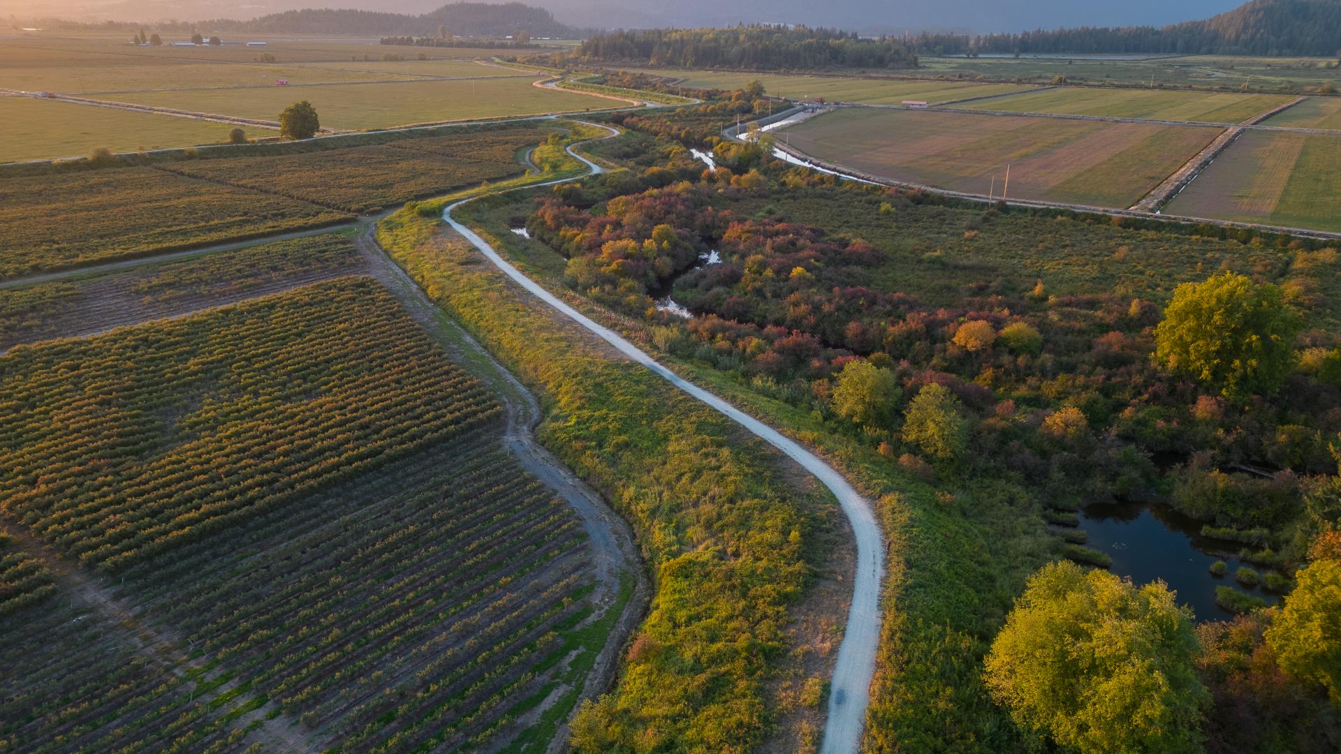 A river cuts through a green belt at an angle, surrounded by farmland.