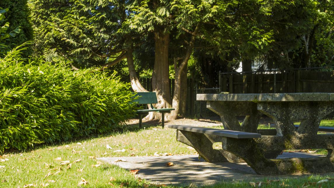 A wooden picnic table of a small concrete slab. The table is shaded, and behind, in the sun, there is a small bench.