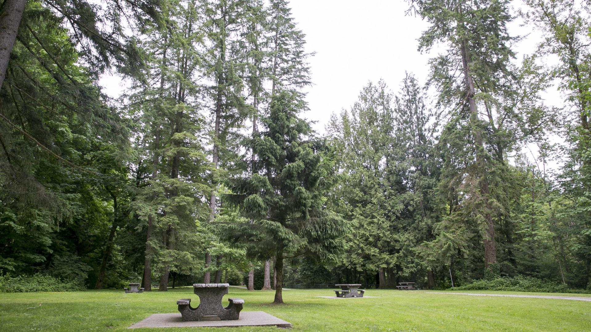 A stone picnic table in a grassy area.
