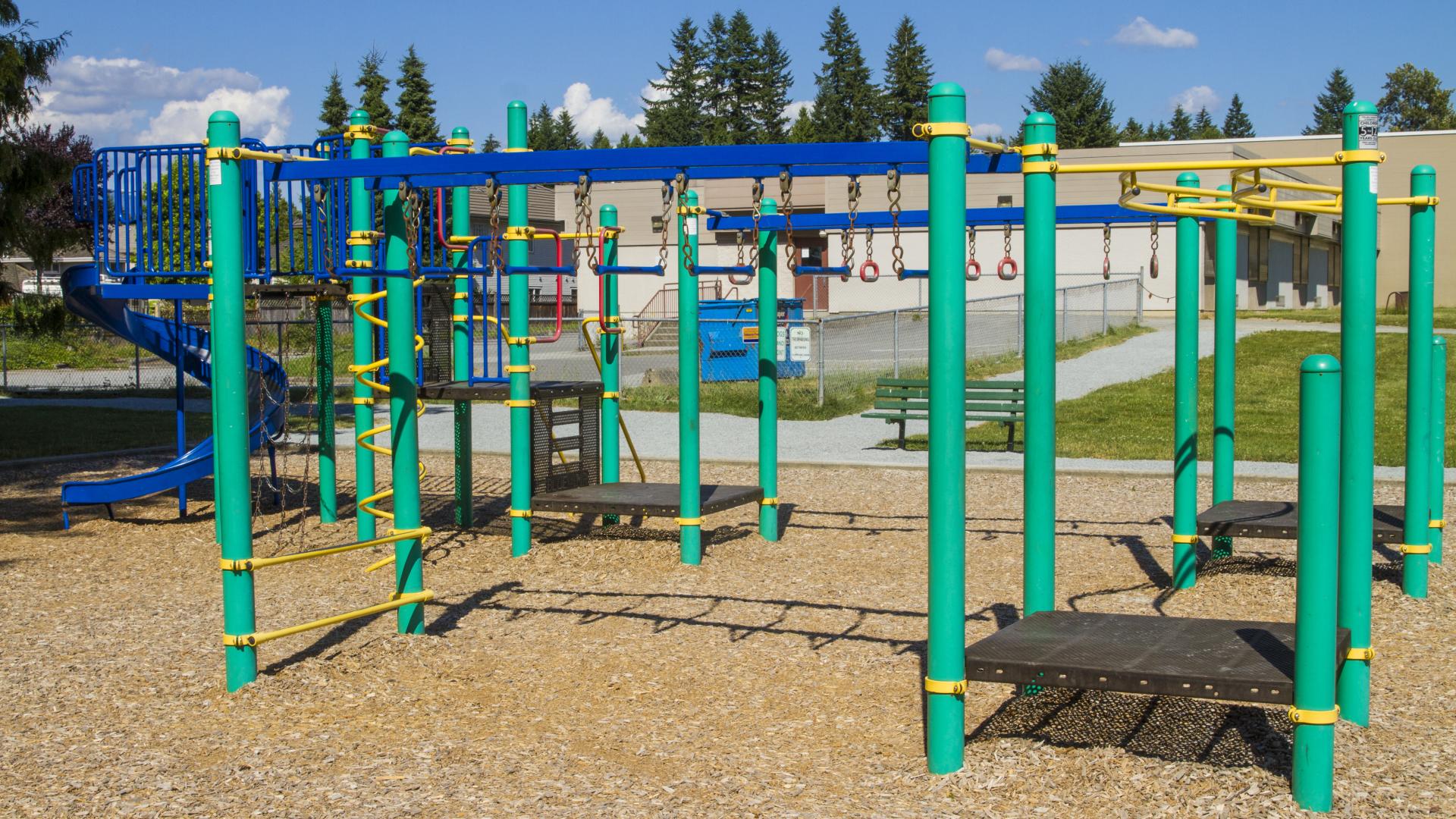 A green playground with several different monkey bars coming off it.