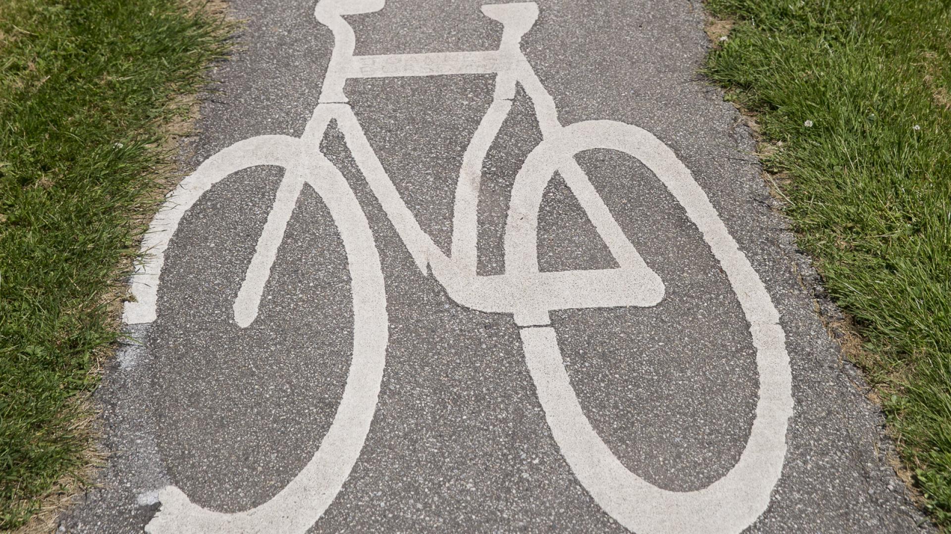 A paved bike path through a grassy field.