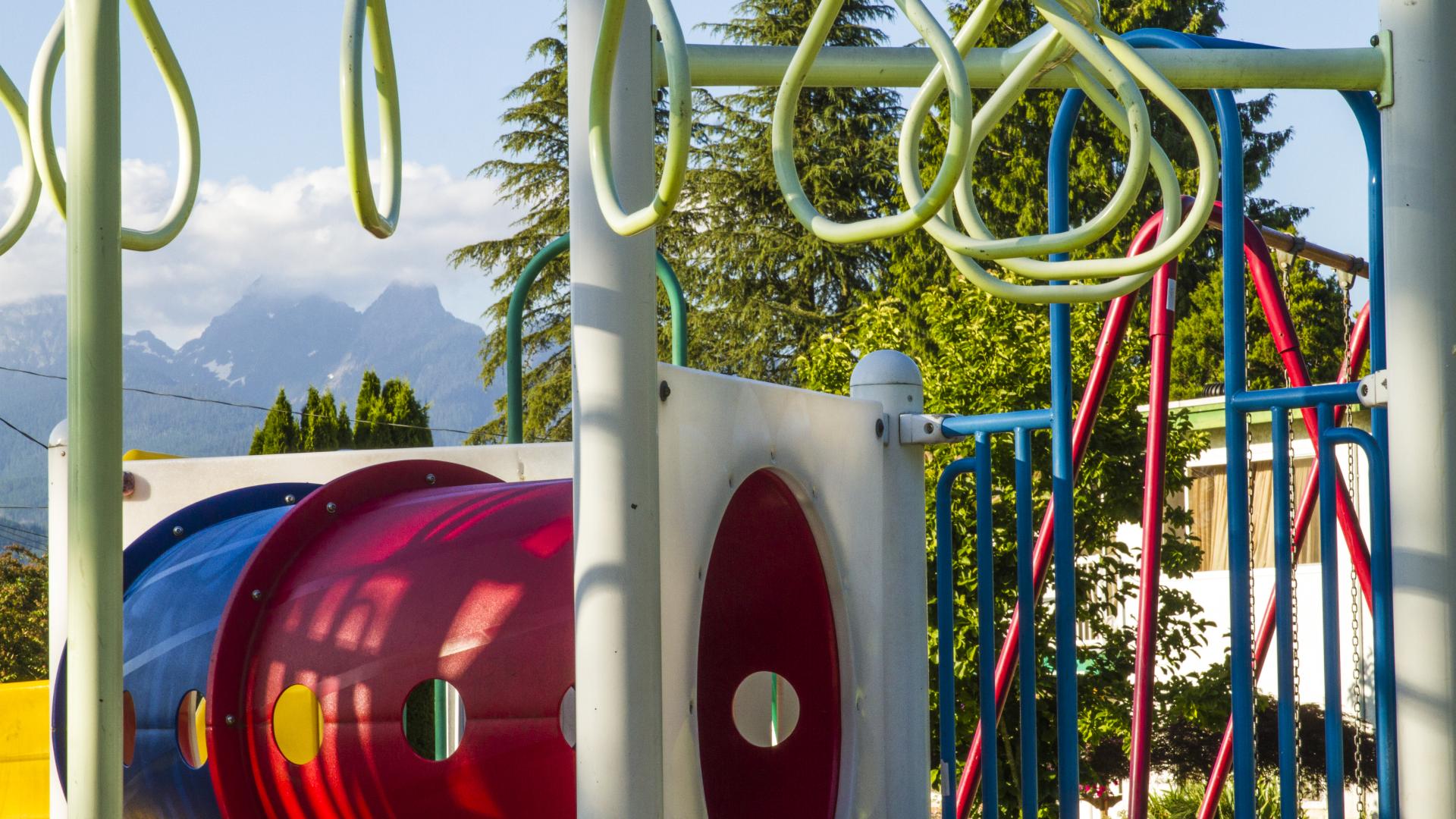 Monkey bars branch off a playground structure. Behind, the structure has a curving red tunnel.