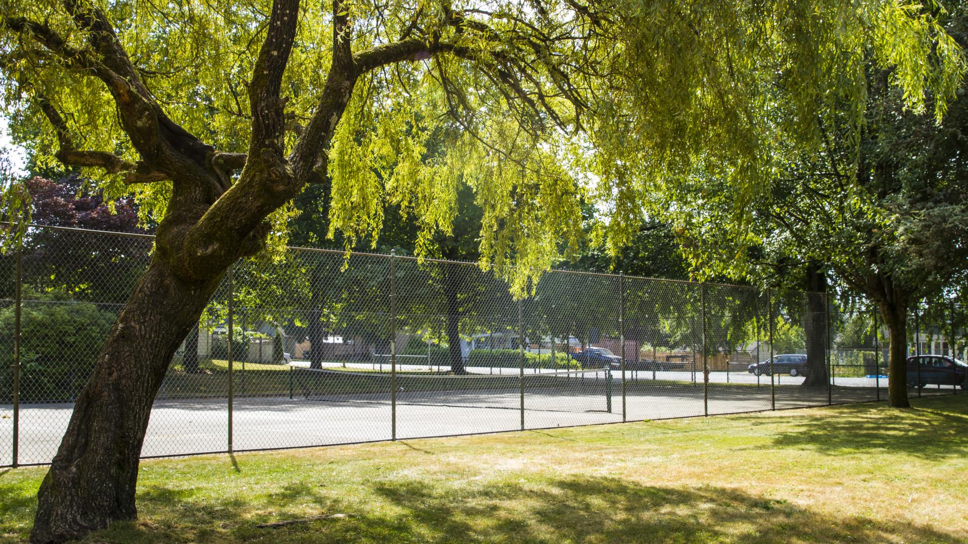 A large canopied tree throw shade across a grassy area. Next to it, there is a fenced in concrete pad.
