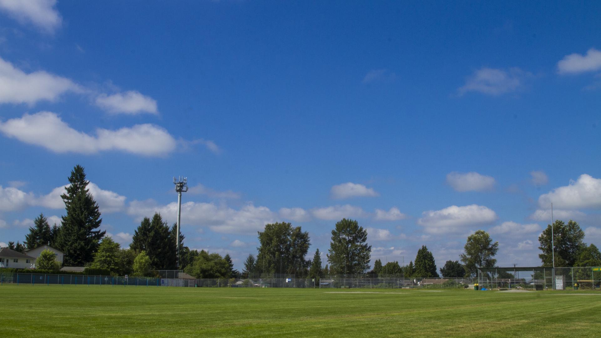 A wide grassy field. In the distance, a few trees line the edge of the field.