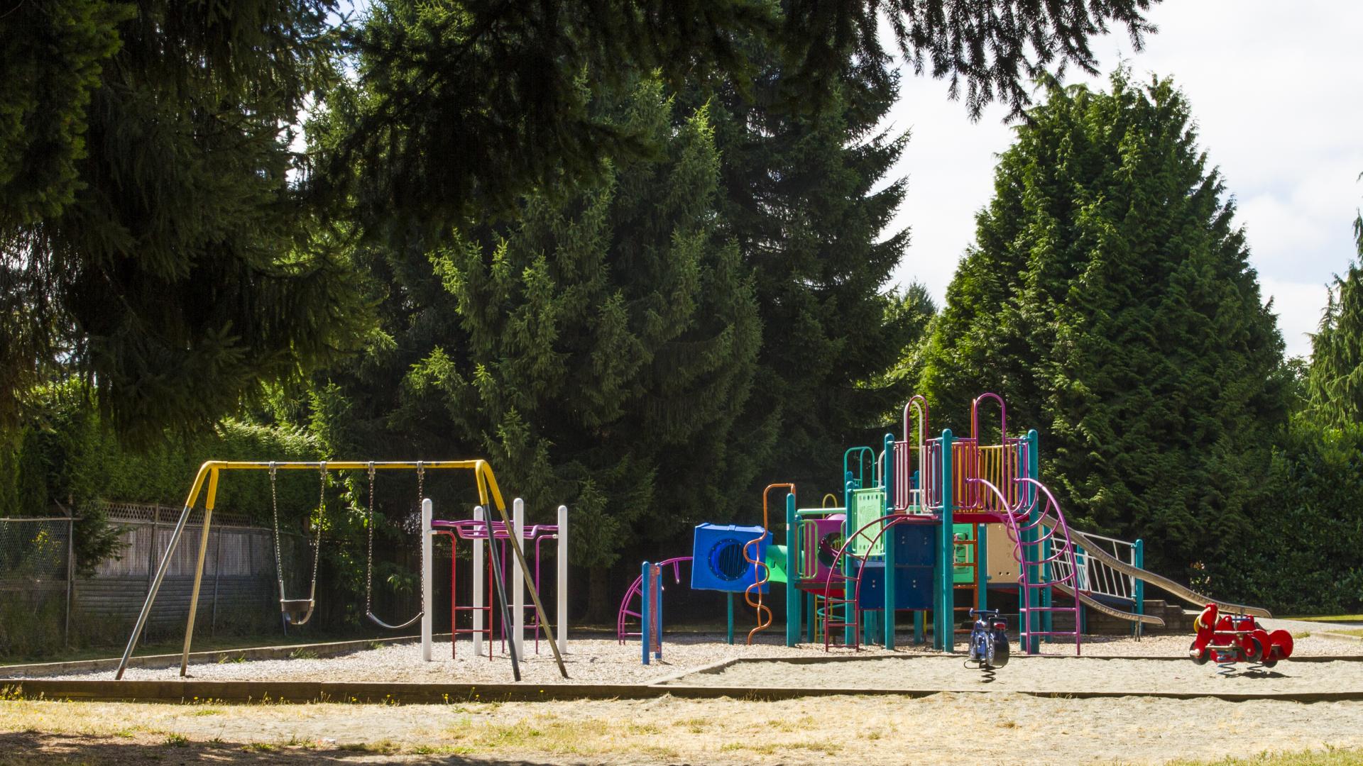 A colourful playground in a sunny patch between the shade thrown by surrounding trees. 
