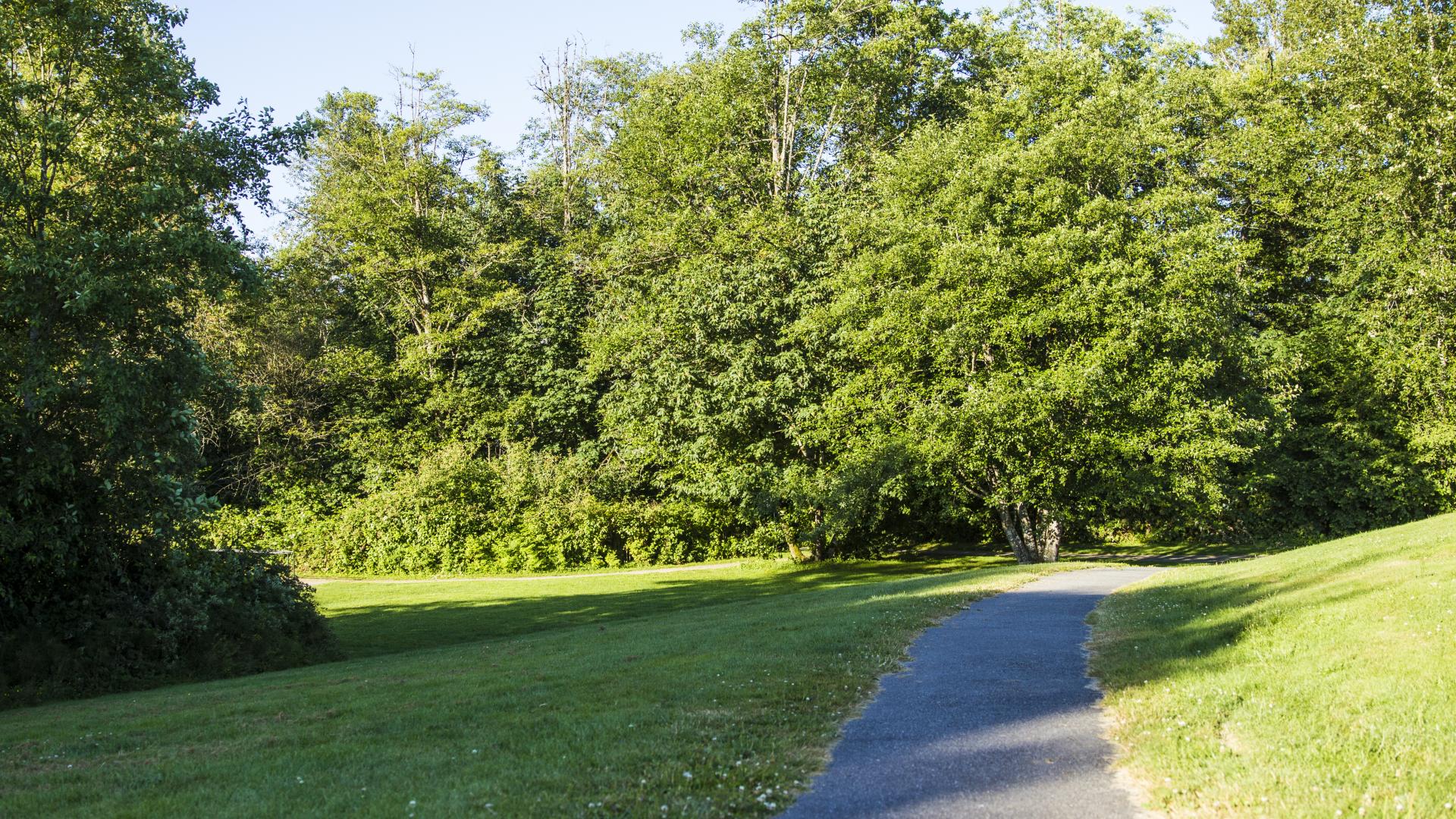 A paved walkway with several feet of grass on either side, next to forested areas.