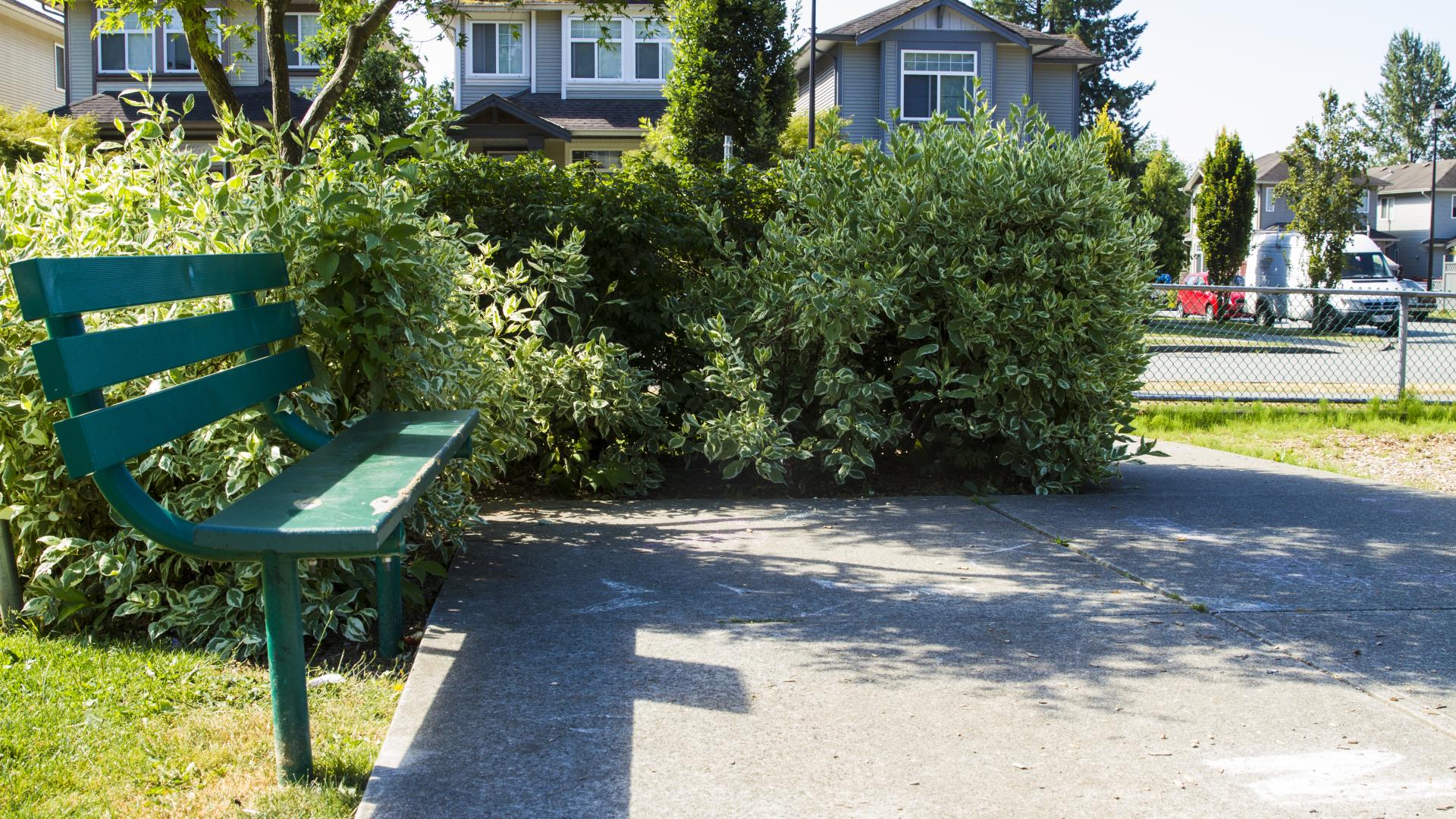 A park bench on the curb between the grass and the pavement. A small collection of bushes are next to it.