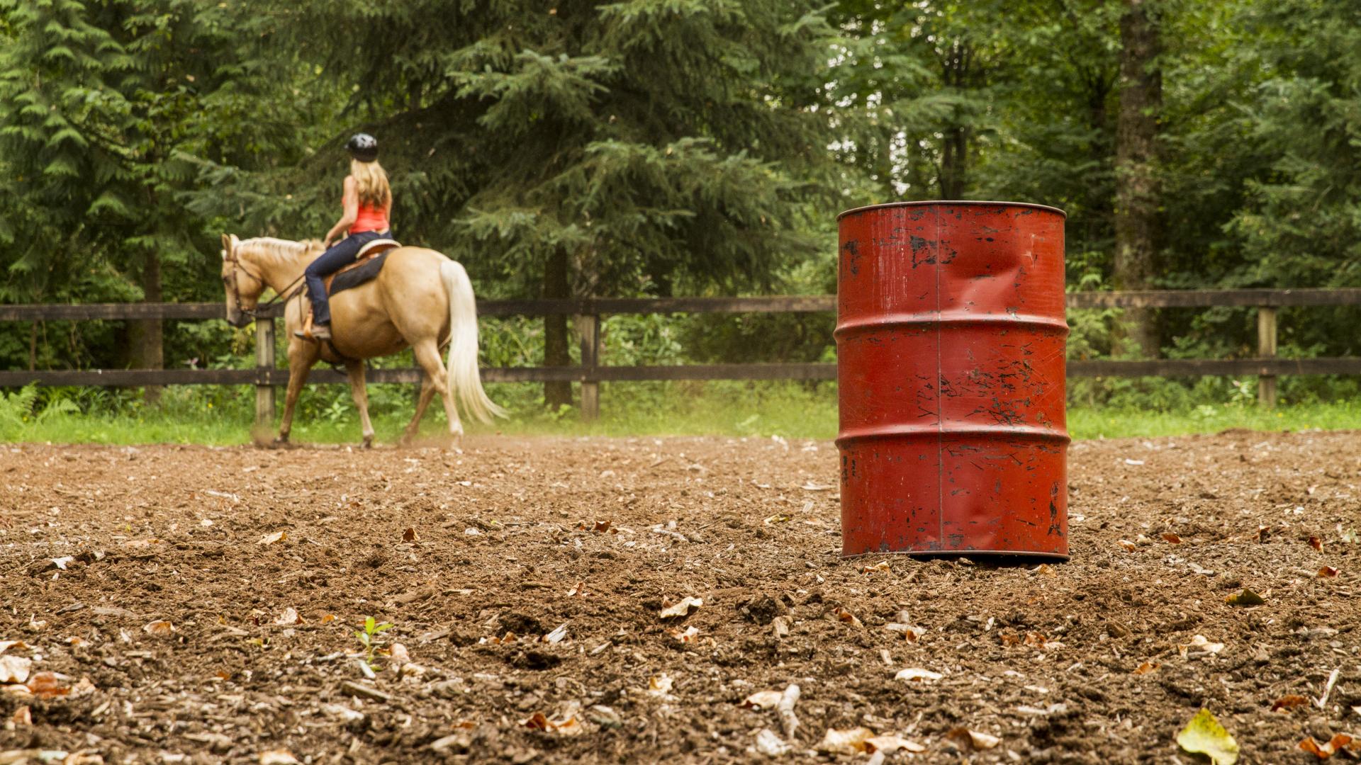 A red, dented oil barrel sits in the centre of a paddock. Near the fence, a woman rides a light brown horse.