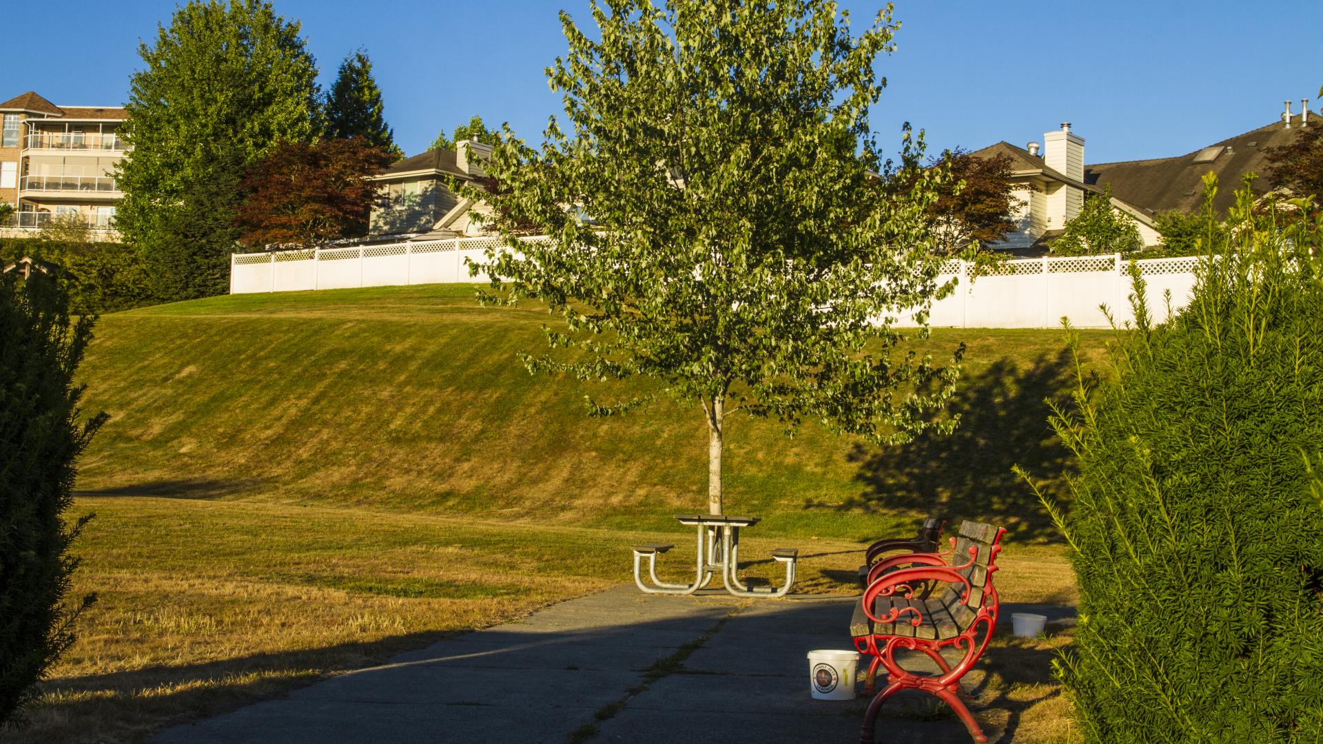 A grassy hill leads up to houses. At the bottom of the hill there is a small picnic table and a bench.