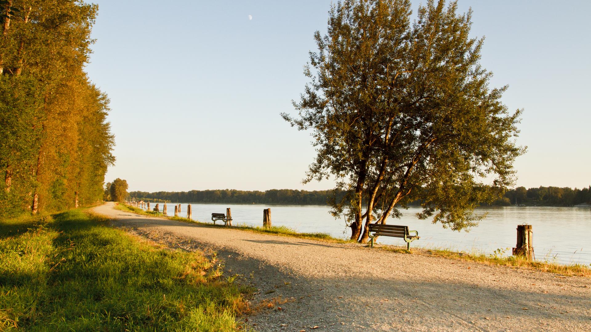 The show of Kanaka Creek with a gravel walking path next to it. The short has benches along it, one in the shade of a tree.