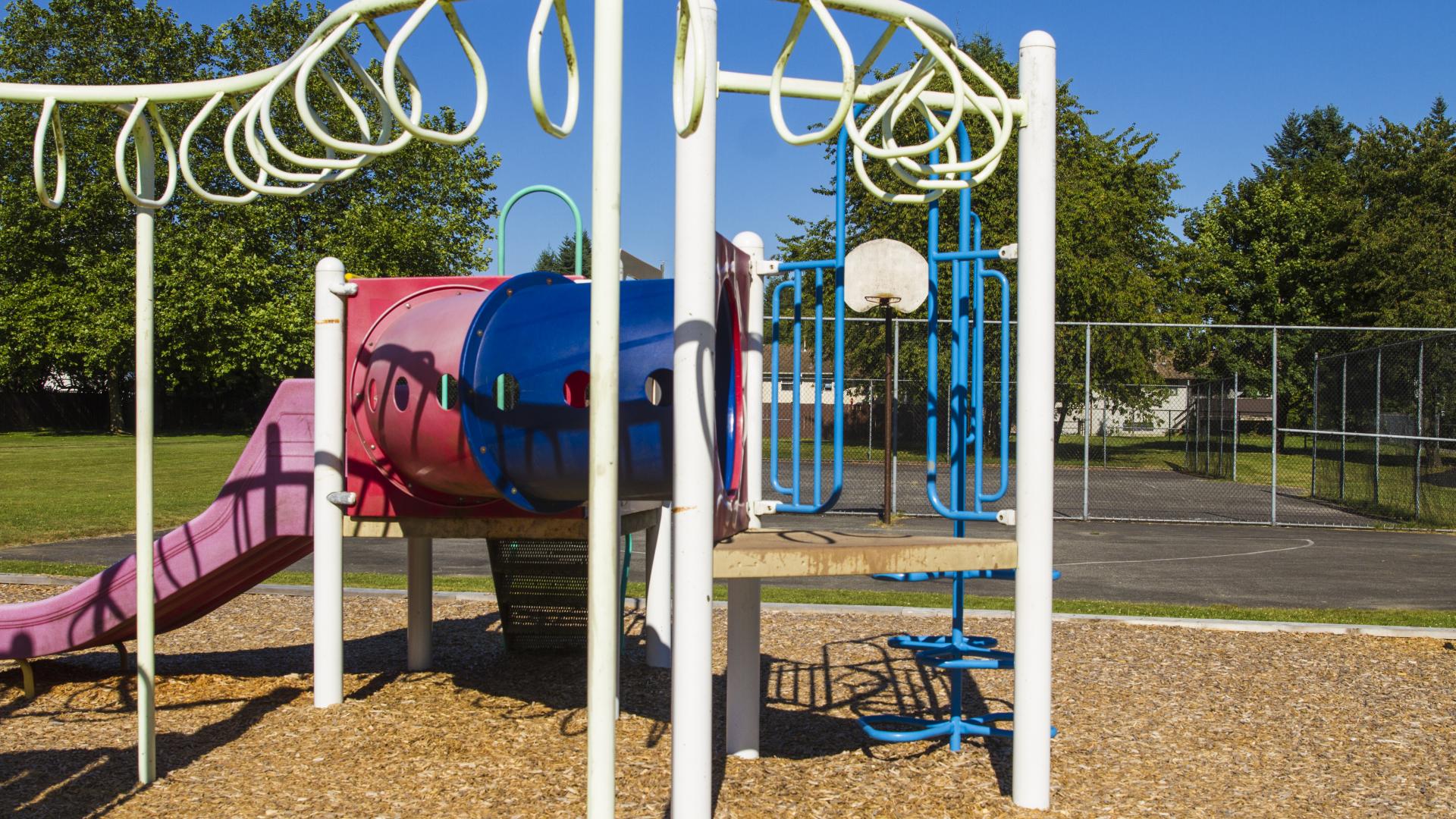 A pink playground with white monkey bars branching out from it.