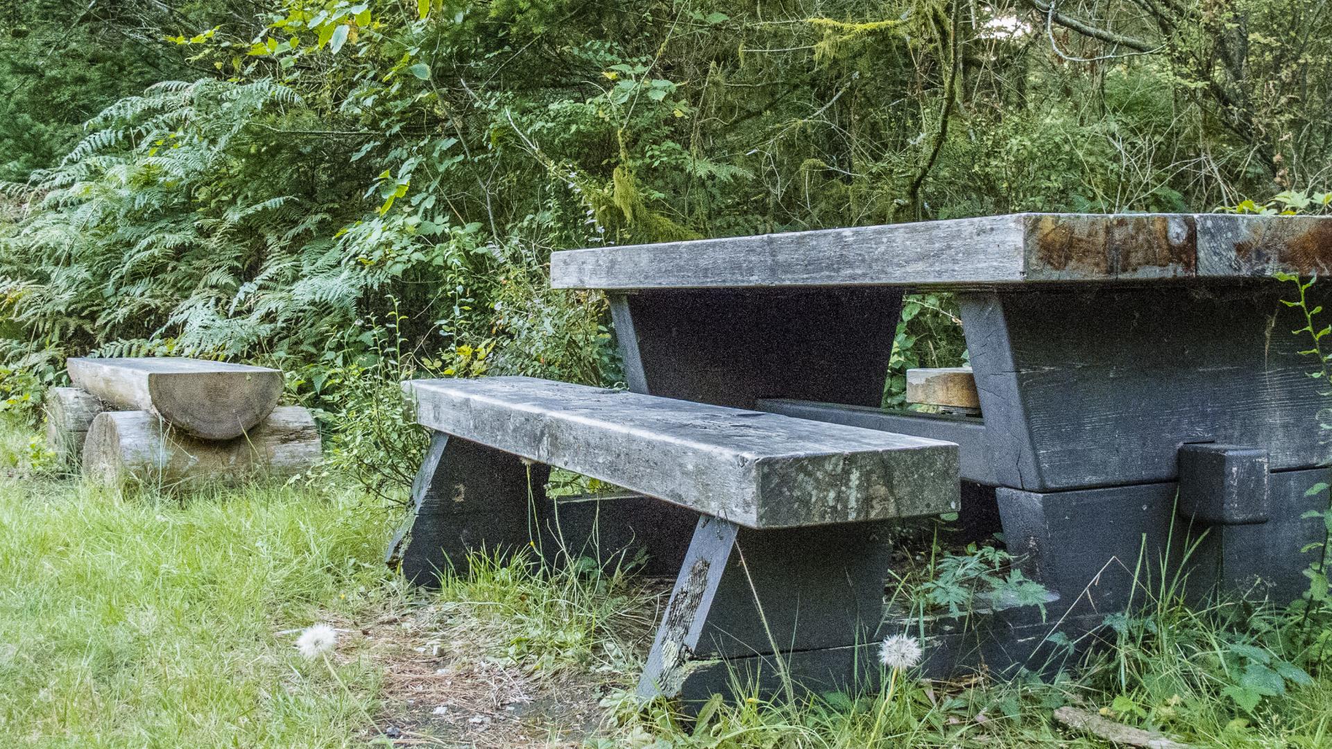 A stone picnic table sits next to a log bench in a forest.