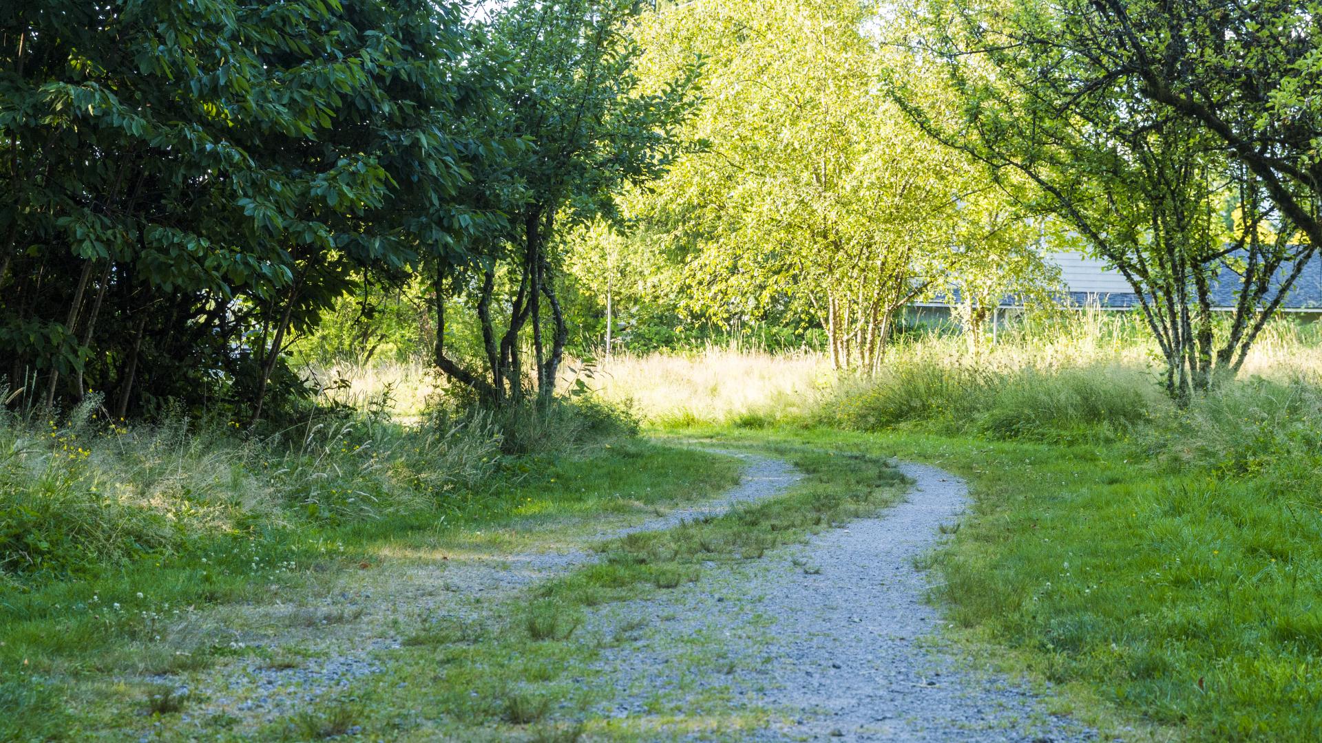 A winding gravel path. On one side, it appear to be forested, while the other side in sunnier.
