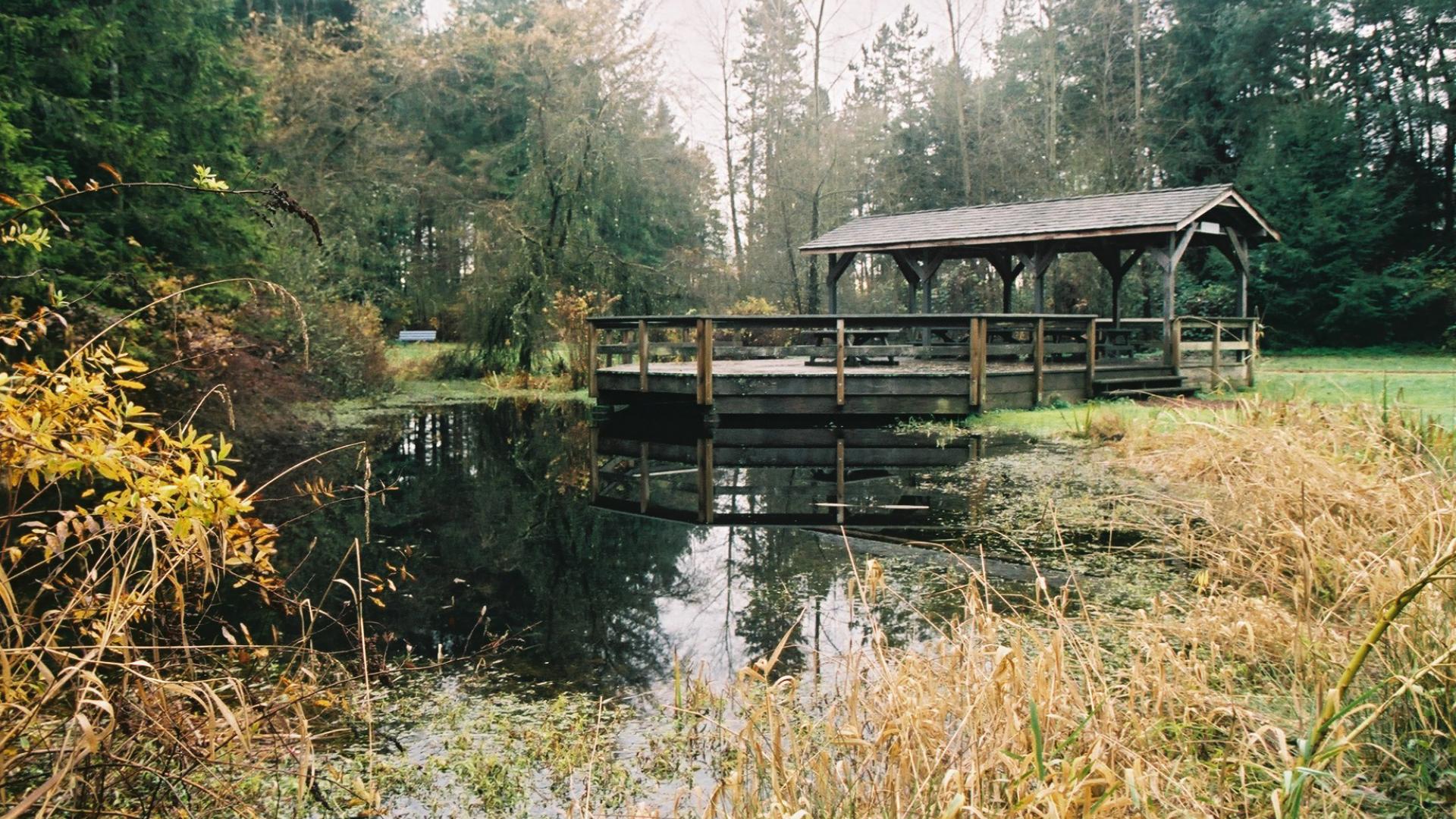 A small, partially covered bridge over a creek.