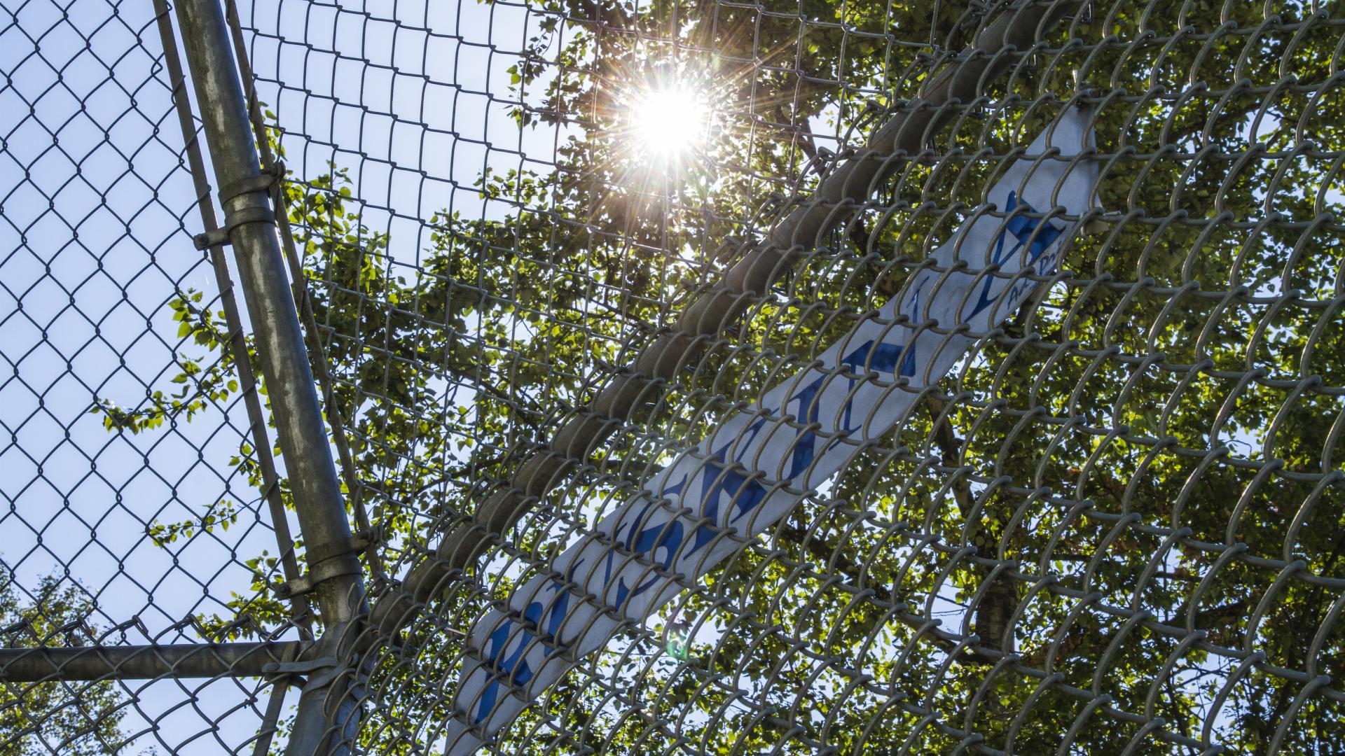 Sun shines through leaves on a tree and the chain link fence of a baseball diamond back catch.