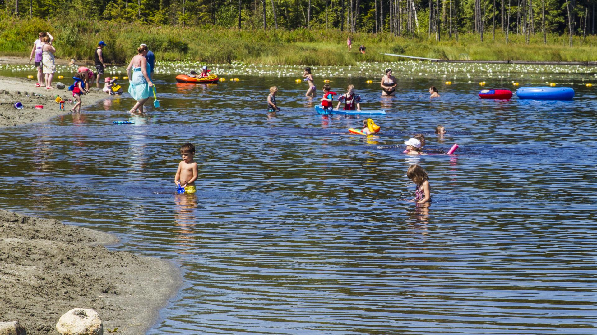Many people swimming or wading in the water near a beach.