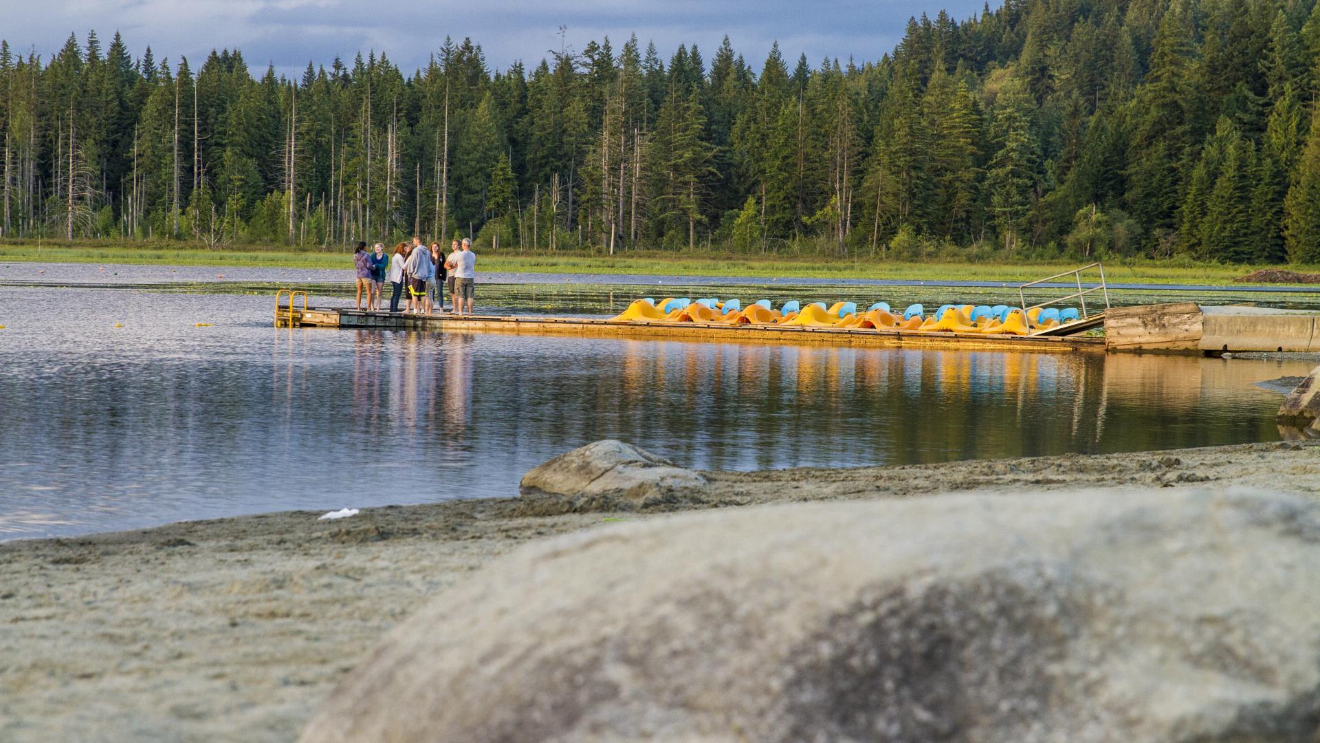 A beachy shore with a long dock on the lake. There is a row of identical small boats on the dock.