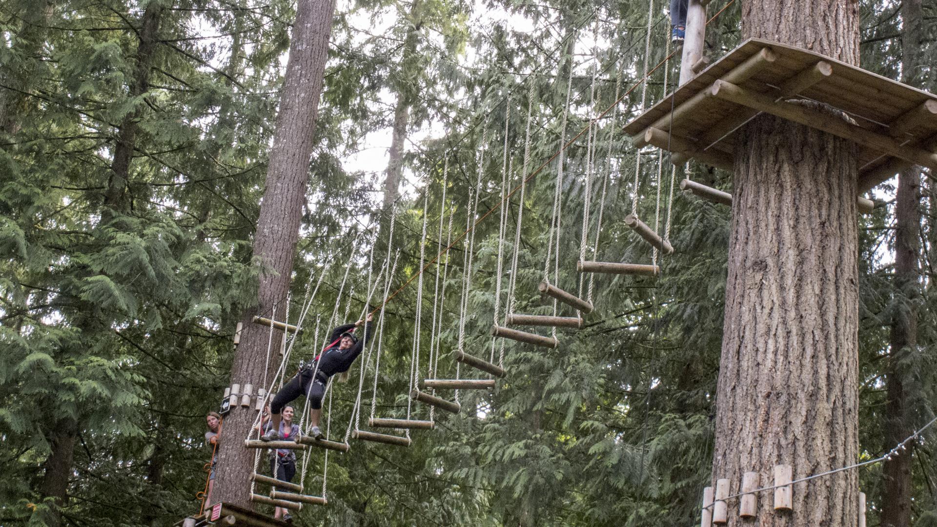 Between platforms on tree trunks, a sort of bridge of swinging, suspending wood planks create a path between the two platforms.