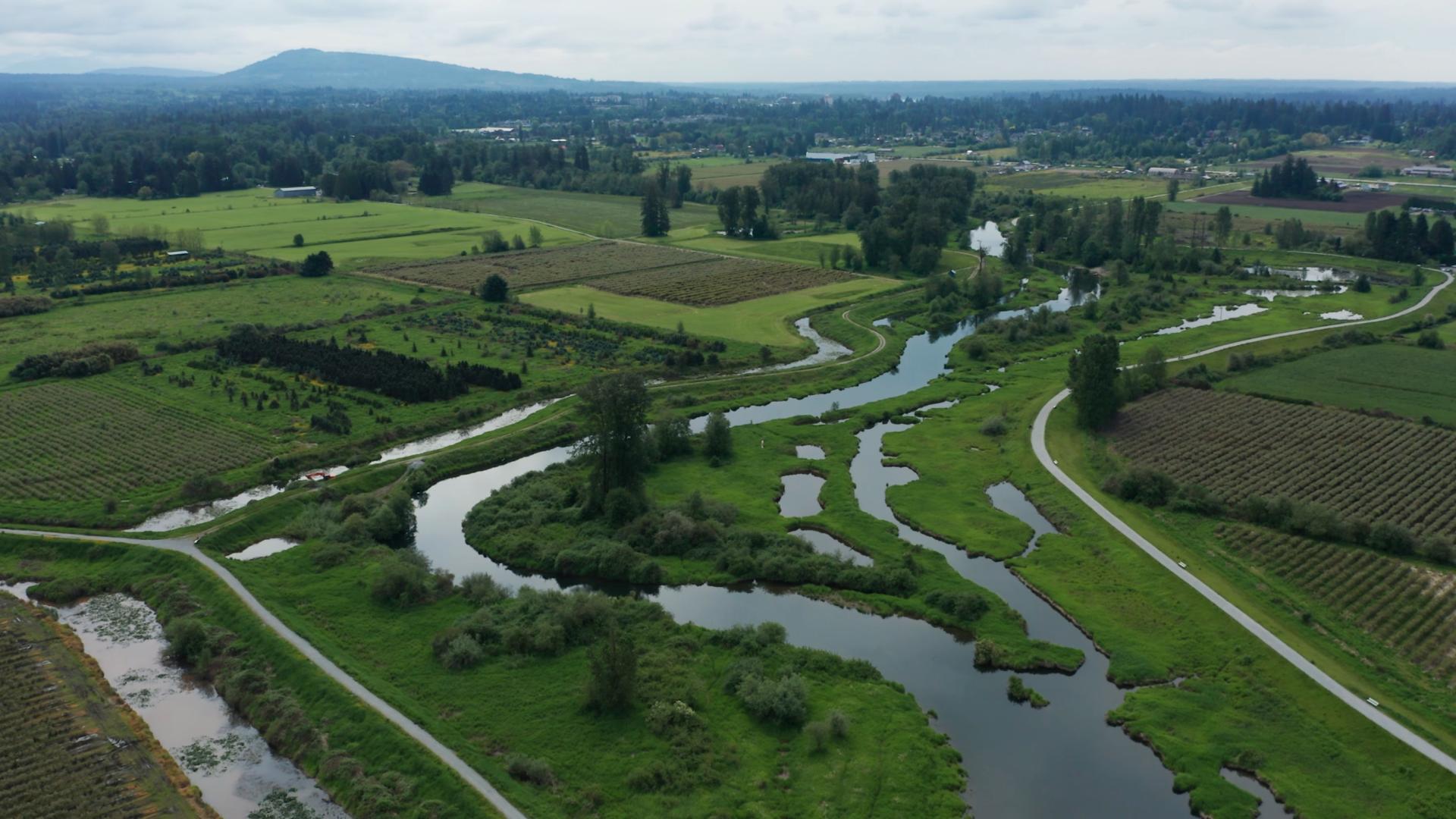 Birds Eye view of the Maple Ridge Dyke displaying a walking path, beautiful green grass, and clear peaceful water