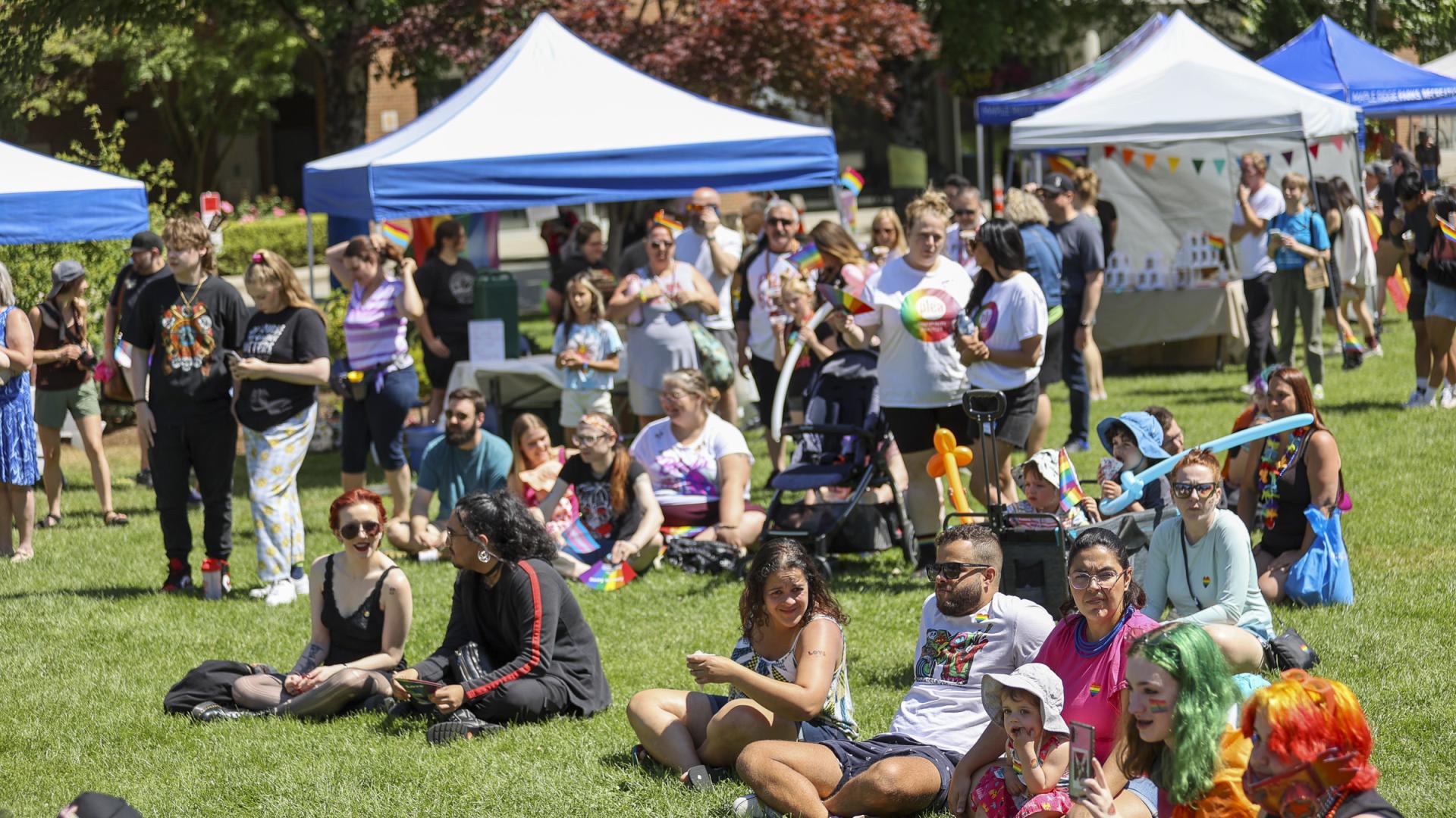 Crowd sitting on grass and watching pride performances at Pride in the Park