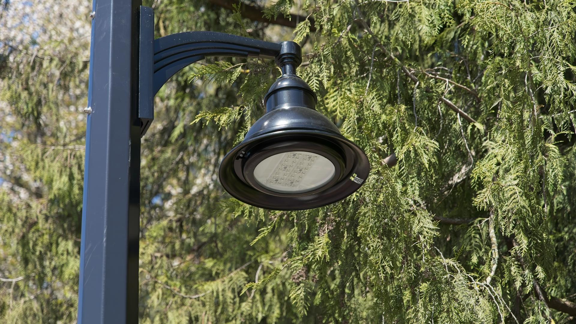 View of light pole on Hammond Road multi-use path