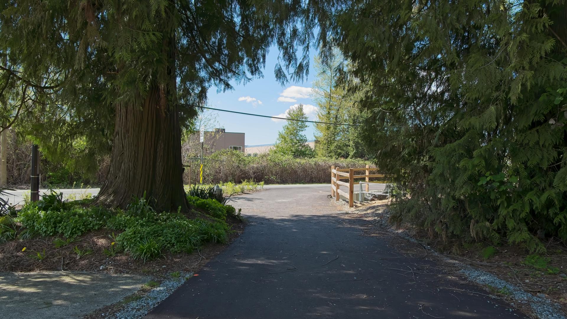 View of Hammond Road multi-use path