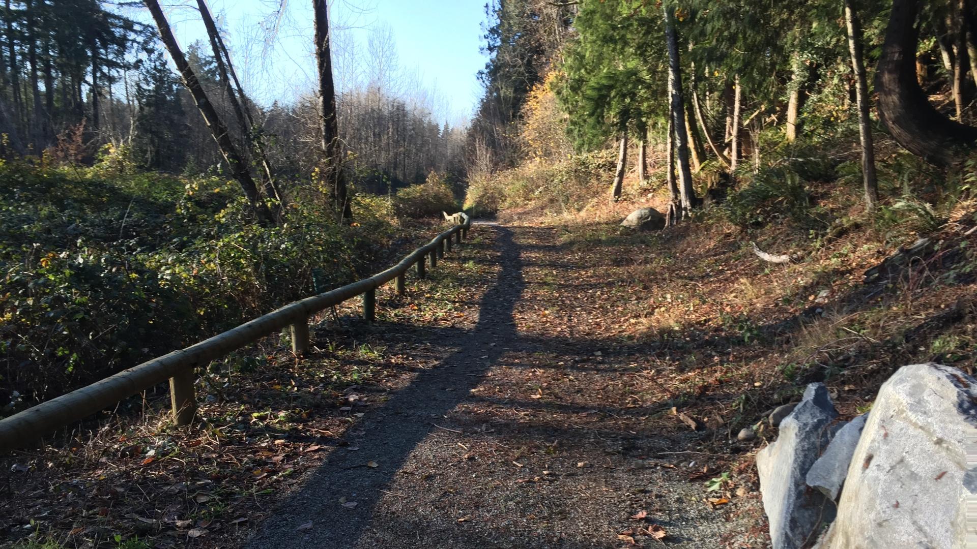 Wide shaded gravel trail going up a hill with open forest on both sides