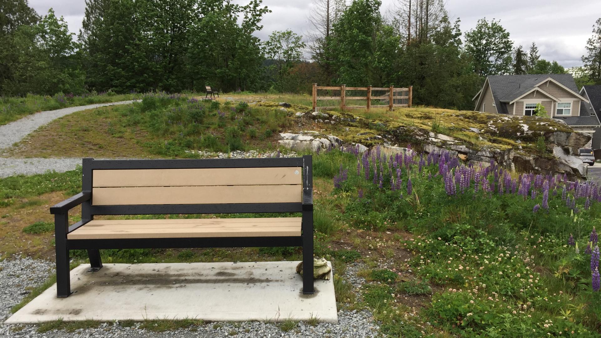 Park bench with purple flowers in the background