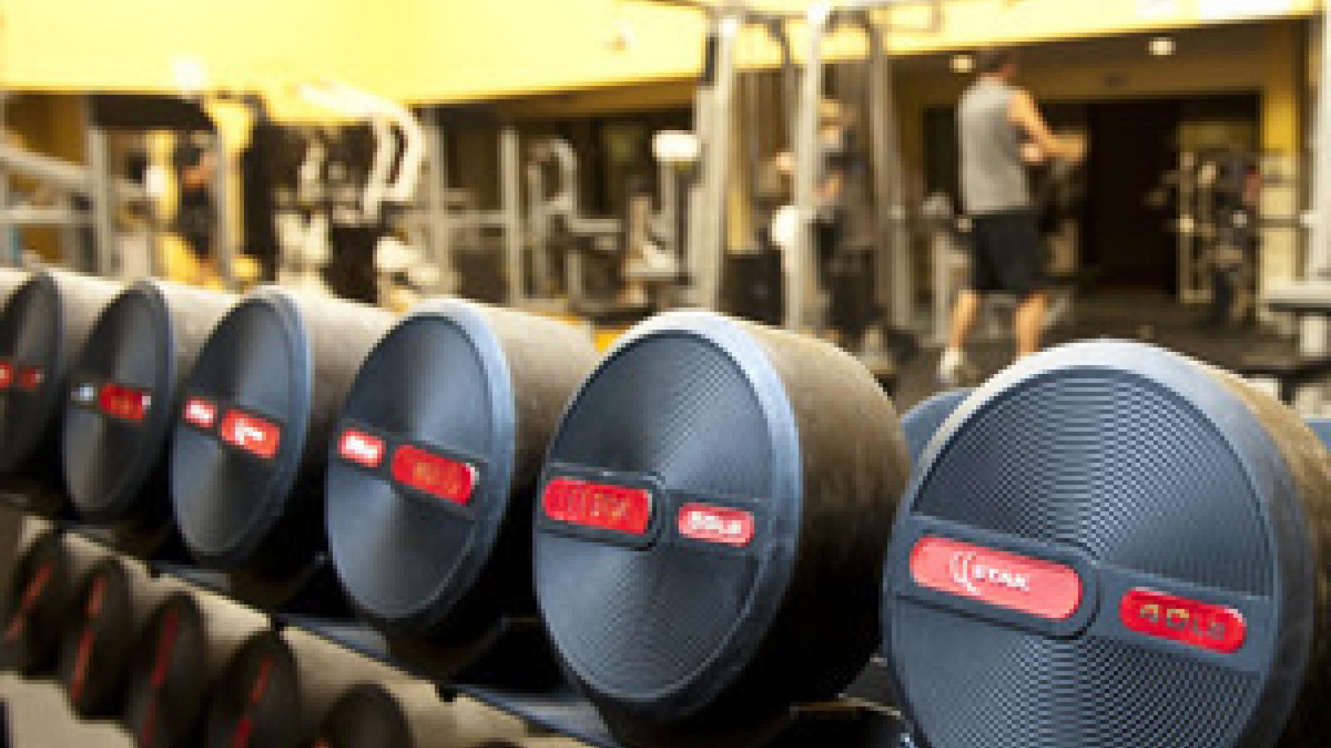 Large black exercise weights sit lined up nice in a row as they wait to be used.