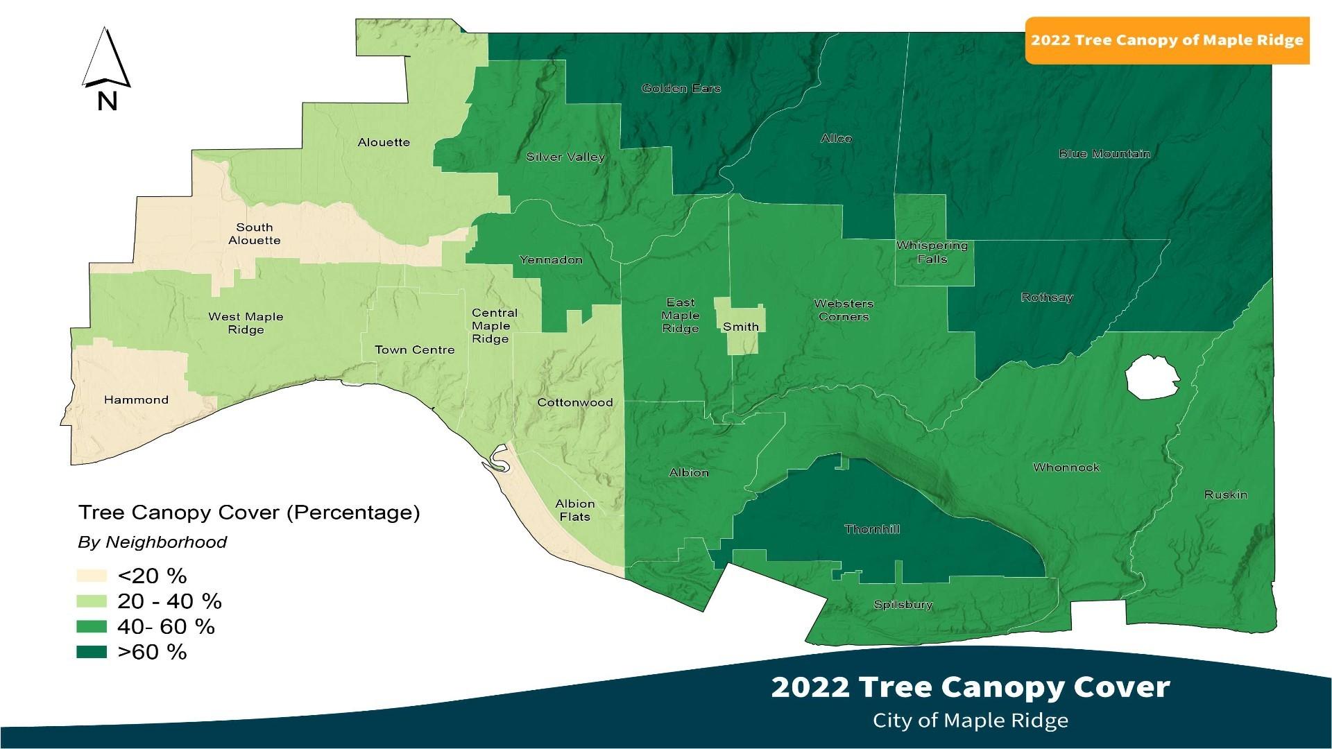 Tree Canopy Cover