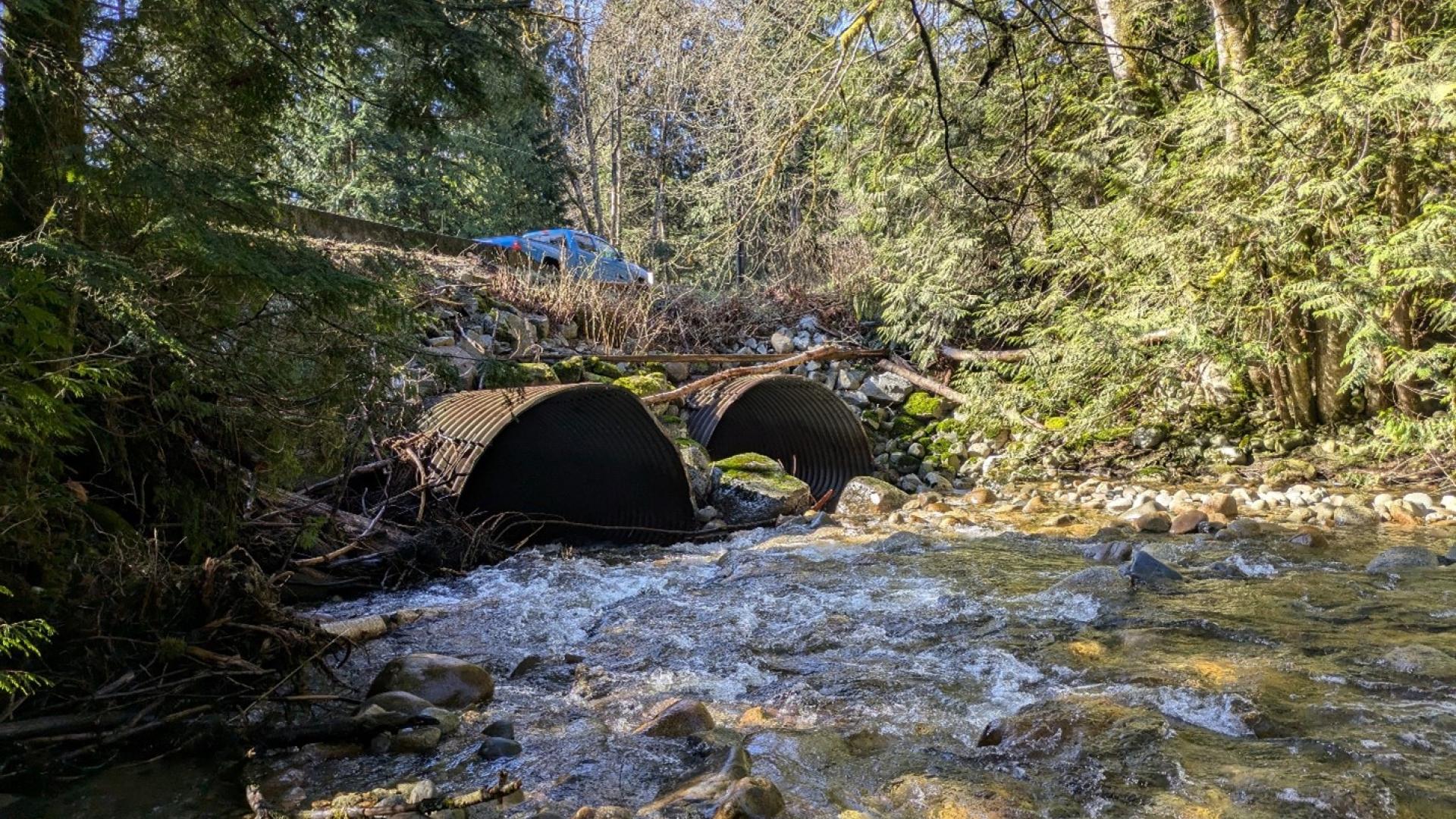 Current culvert under Dewdney Trunk Road just east of 272 Street