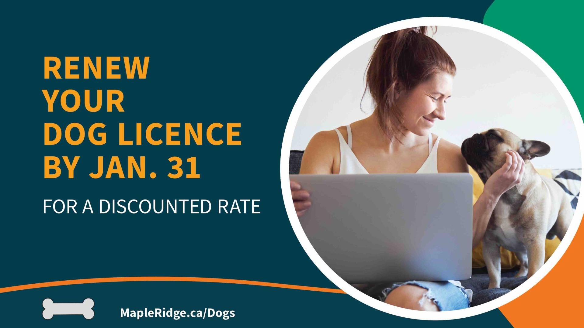 A woman petting a small dog while on a computer next to the message, "Renew your dog license by Jan 31 for a discounted rate".