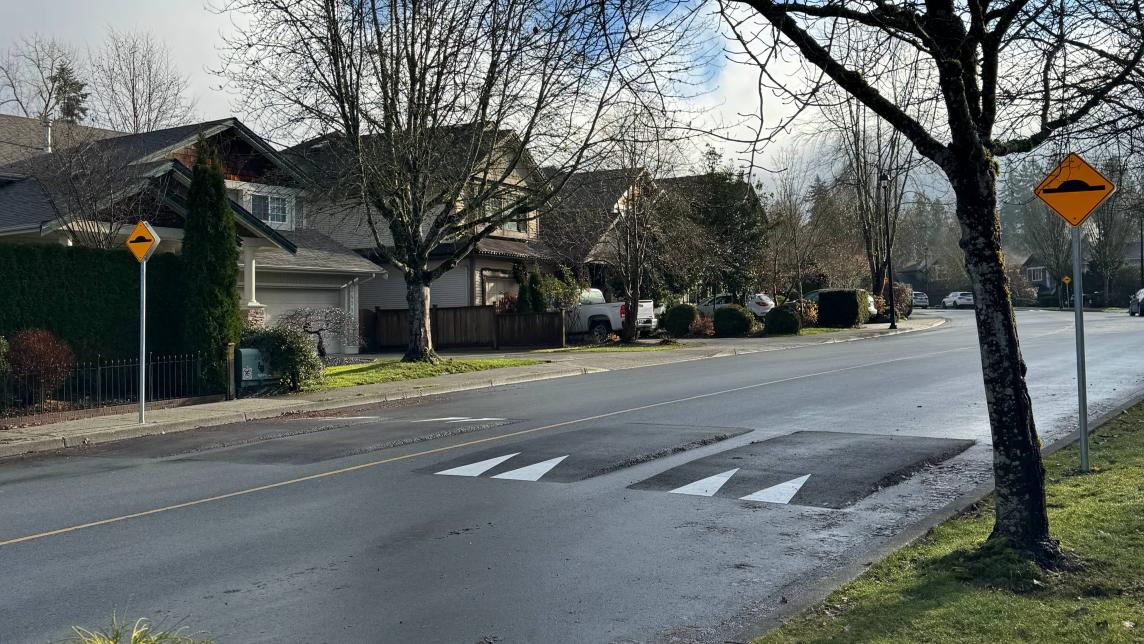 Speed cushions and signage on McClure Drive