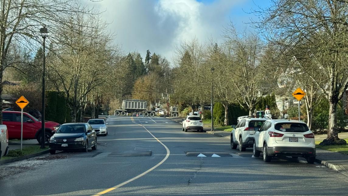 Cars are parked along a road with speed cushions