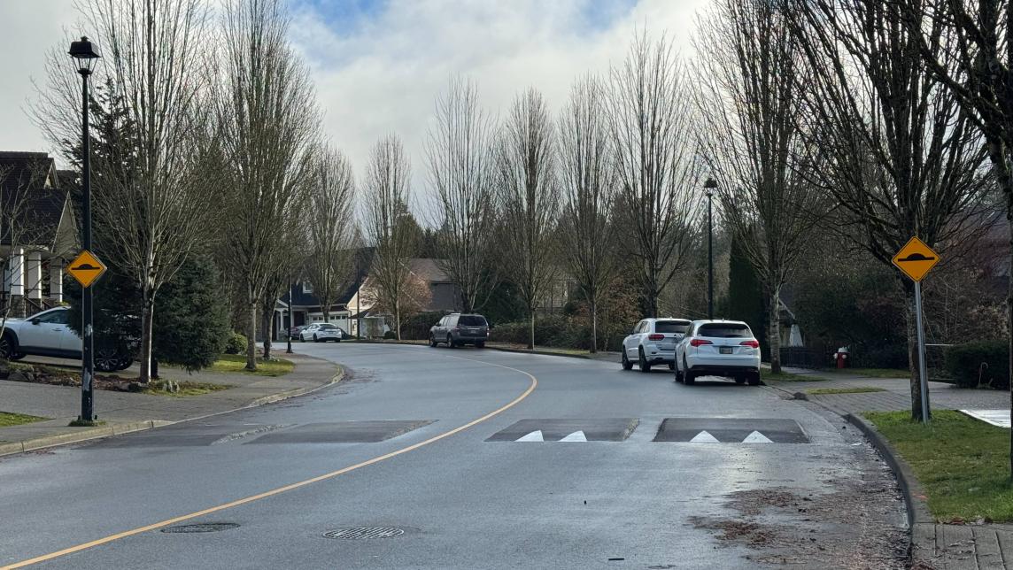 A curved road featuring speed cushions