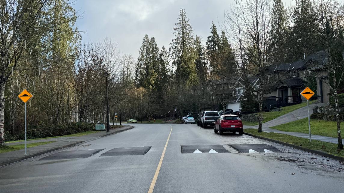Speed humps and signs on McClure Drive