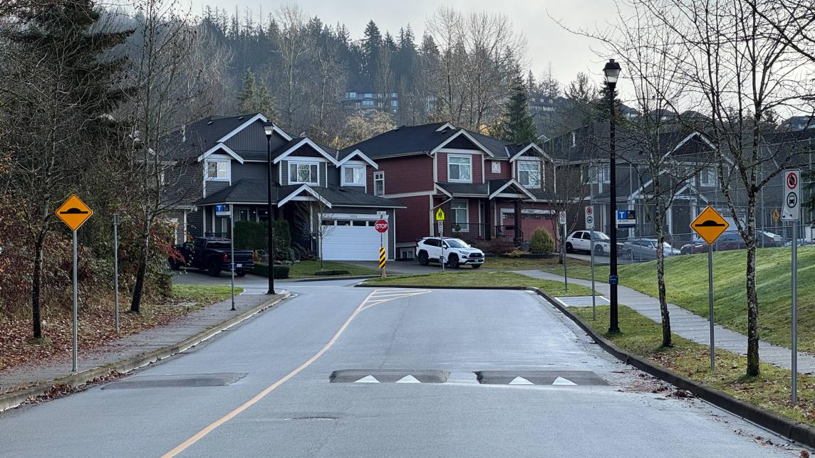 Speed humps on McClure Drive