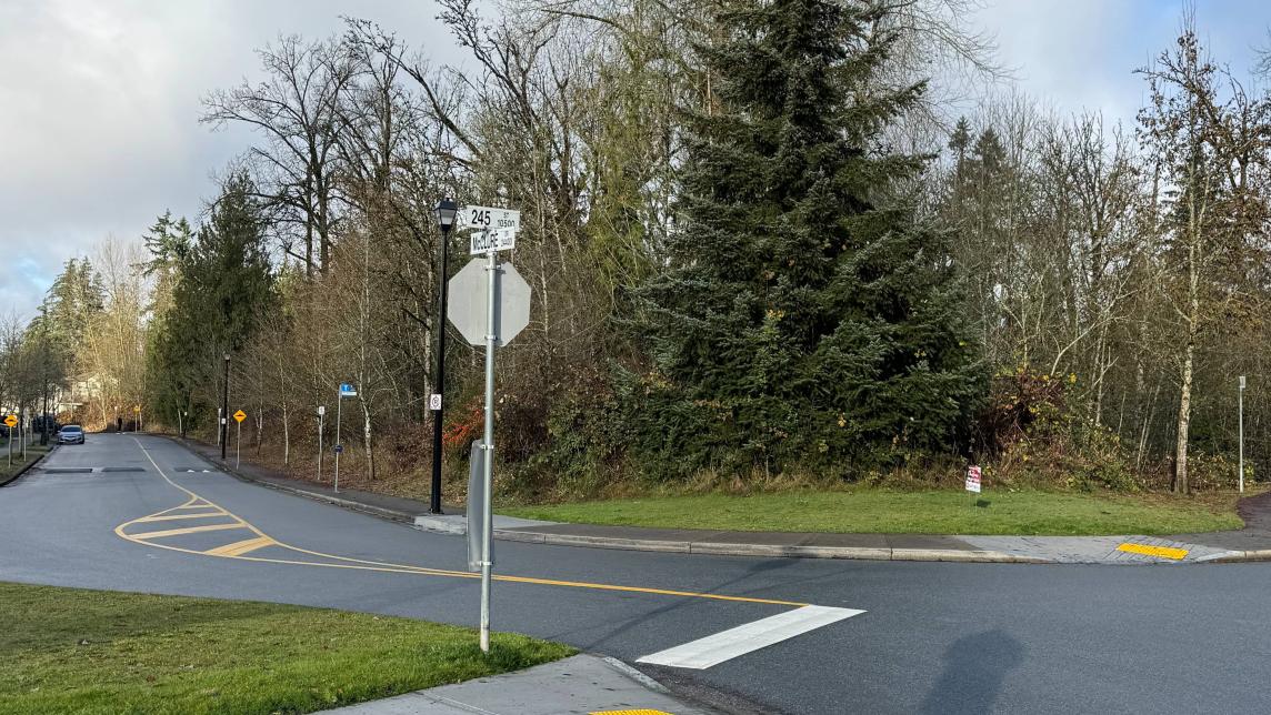 An intersection with a stop sign